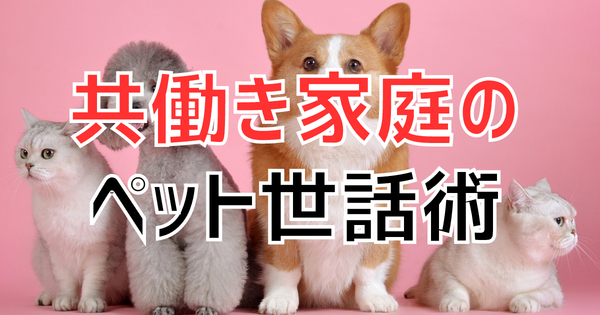 共働き家庭のペット世話術