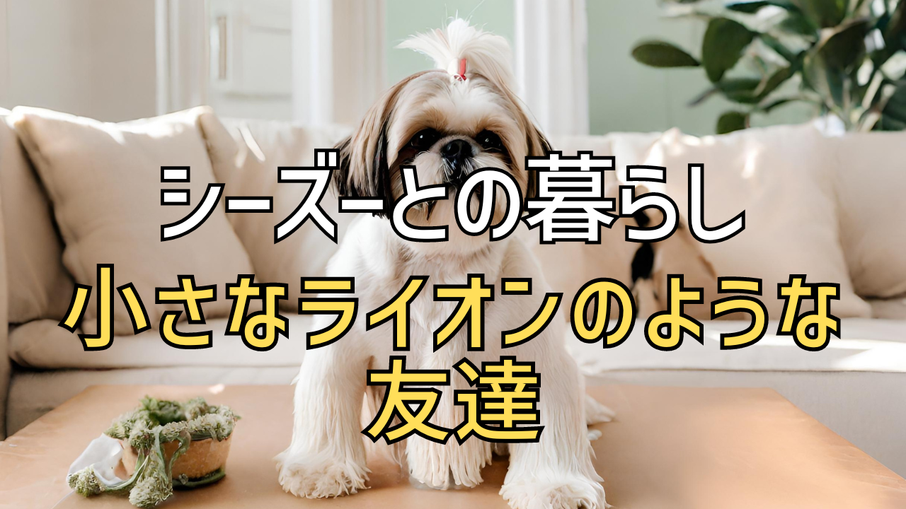 シーズーとの暮らし